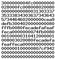 0281031001 1037538406